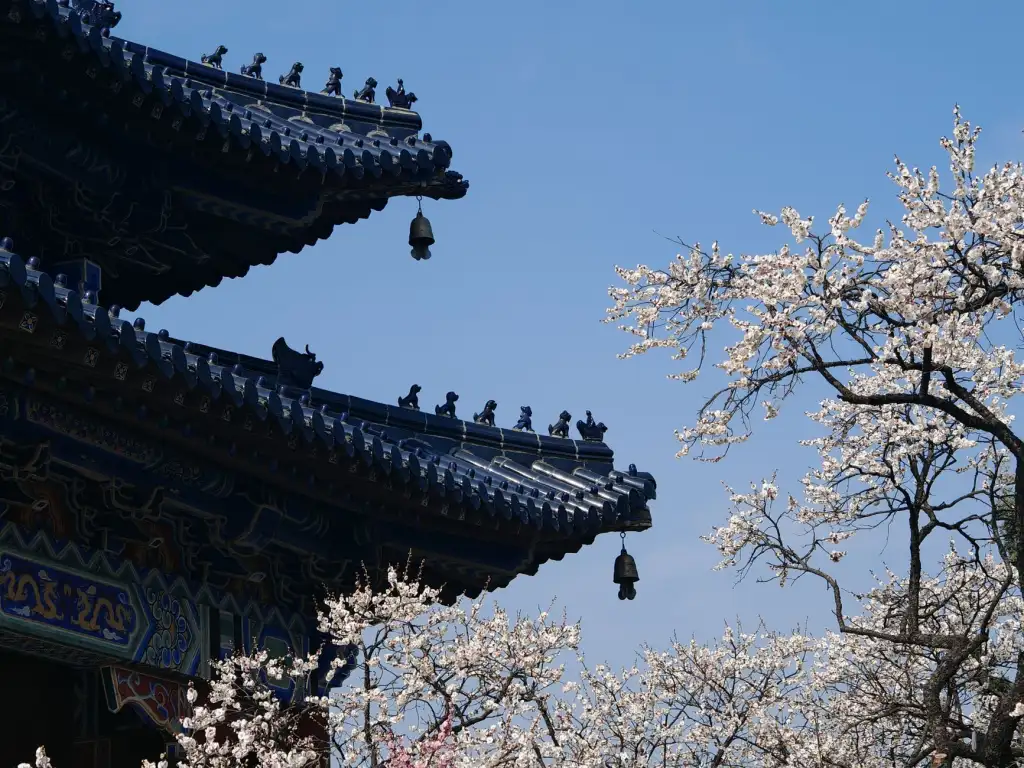 2024年餐饮后厨管理软件核心功能升级与实施要点分析